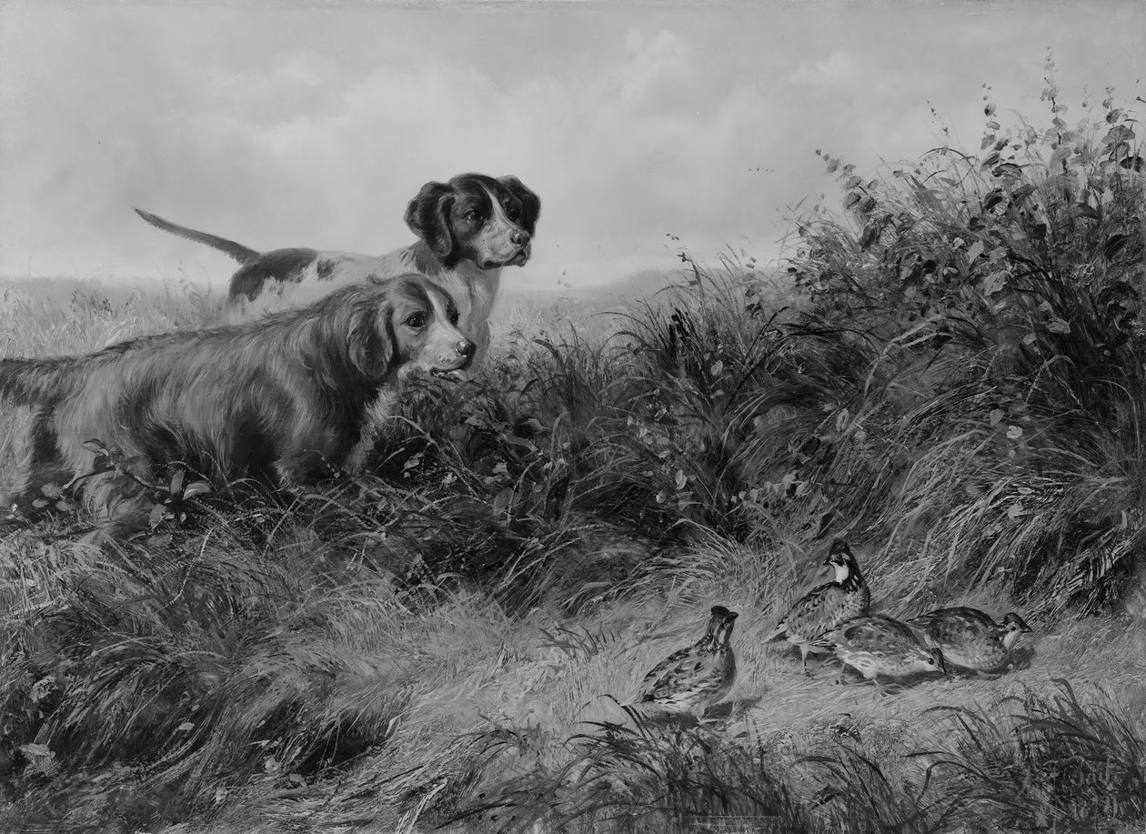 Noktada, 1874. by Arthur Fitzwilliam Tait
