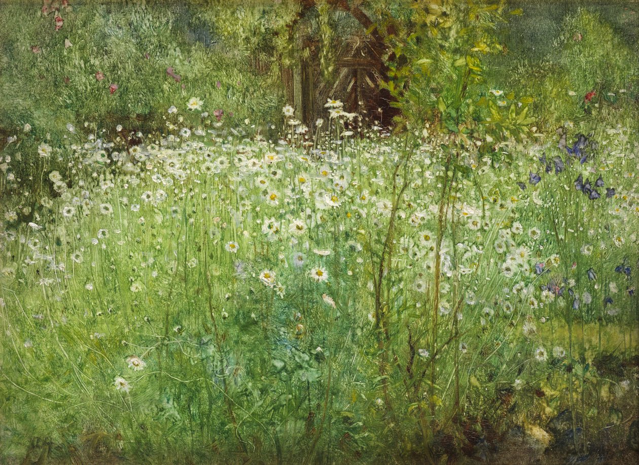 Oxeye Papatyalar ve Süsenler, 1920 by Arthur Hacker