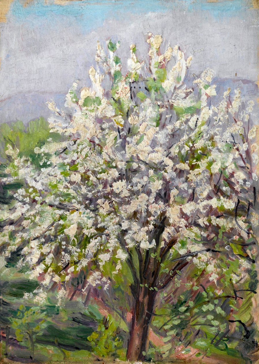 Badem çiçeği by Arthur Haythorne Studd