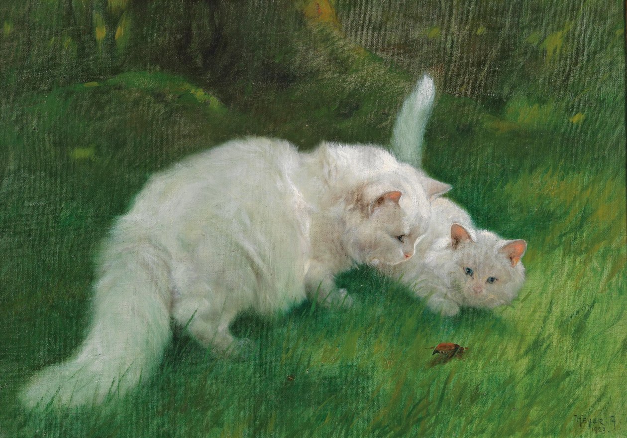  by Arthur Heyer