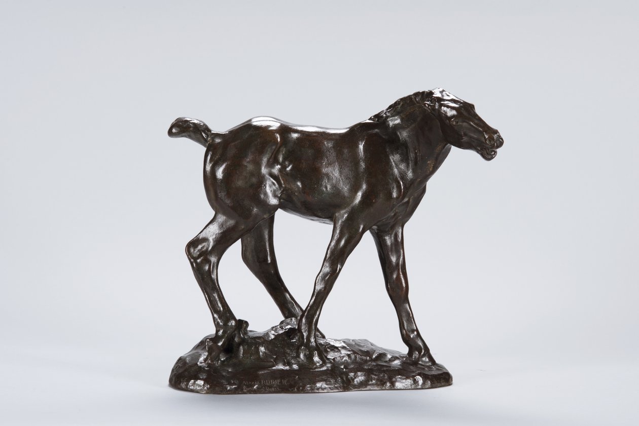 Colt (bronz) by Arthur Putnam