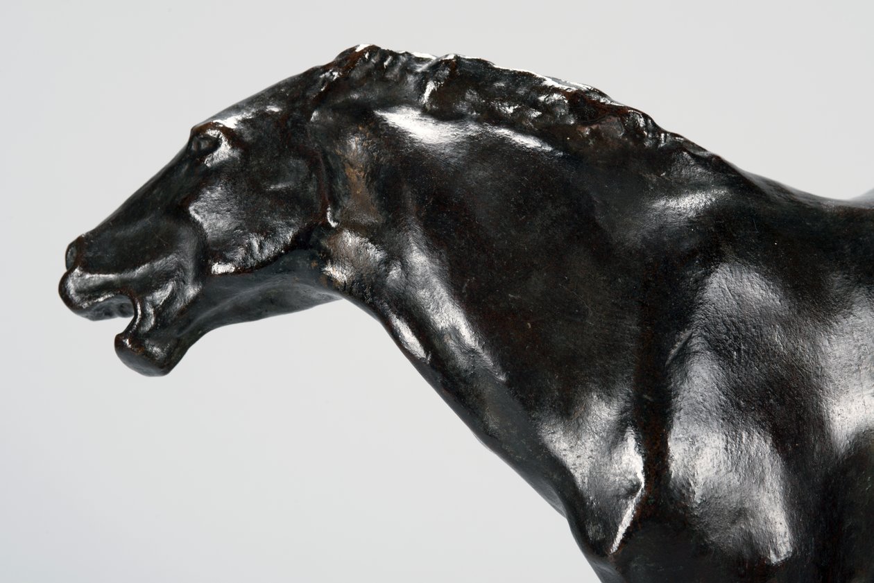 Colt (bronz) by Arthur Putnam