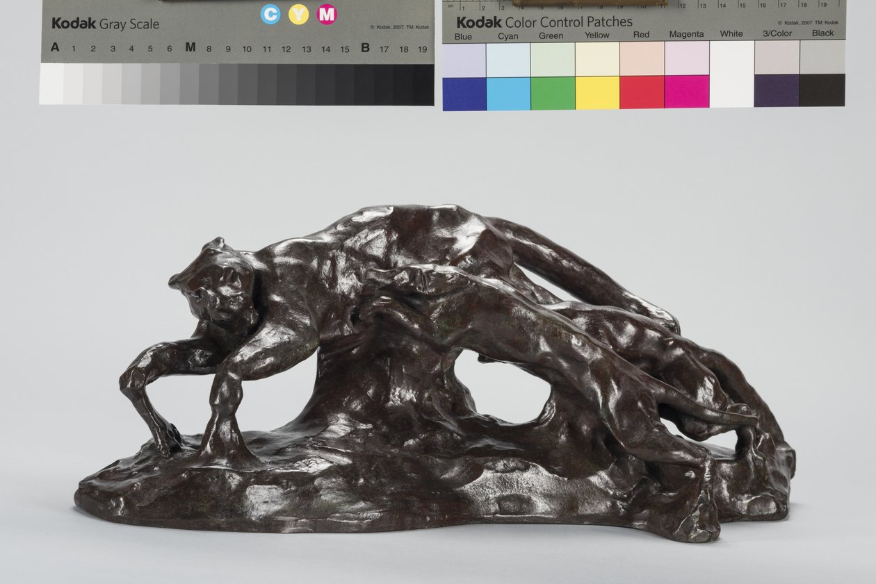 Puma Yakalayan Köpekler by Arthur Putnam