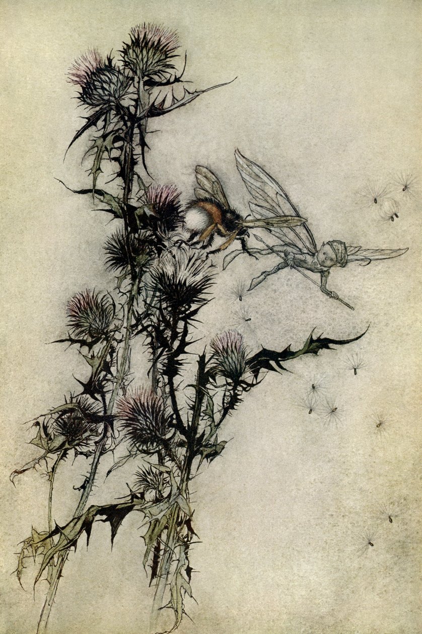 Bir yaz gecesi rüyası by Arthur Rackham