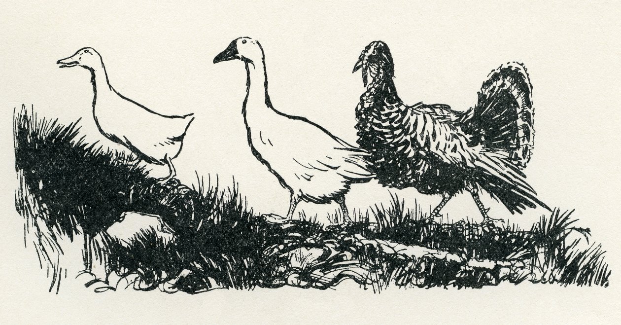 Henny-Penny by Arthur Rackham