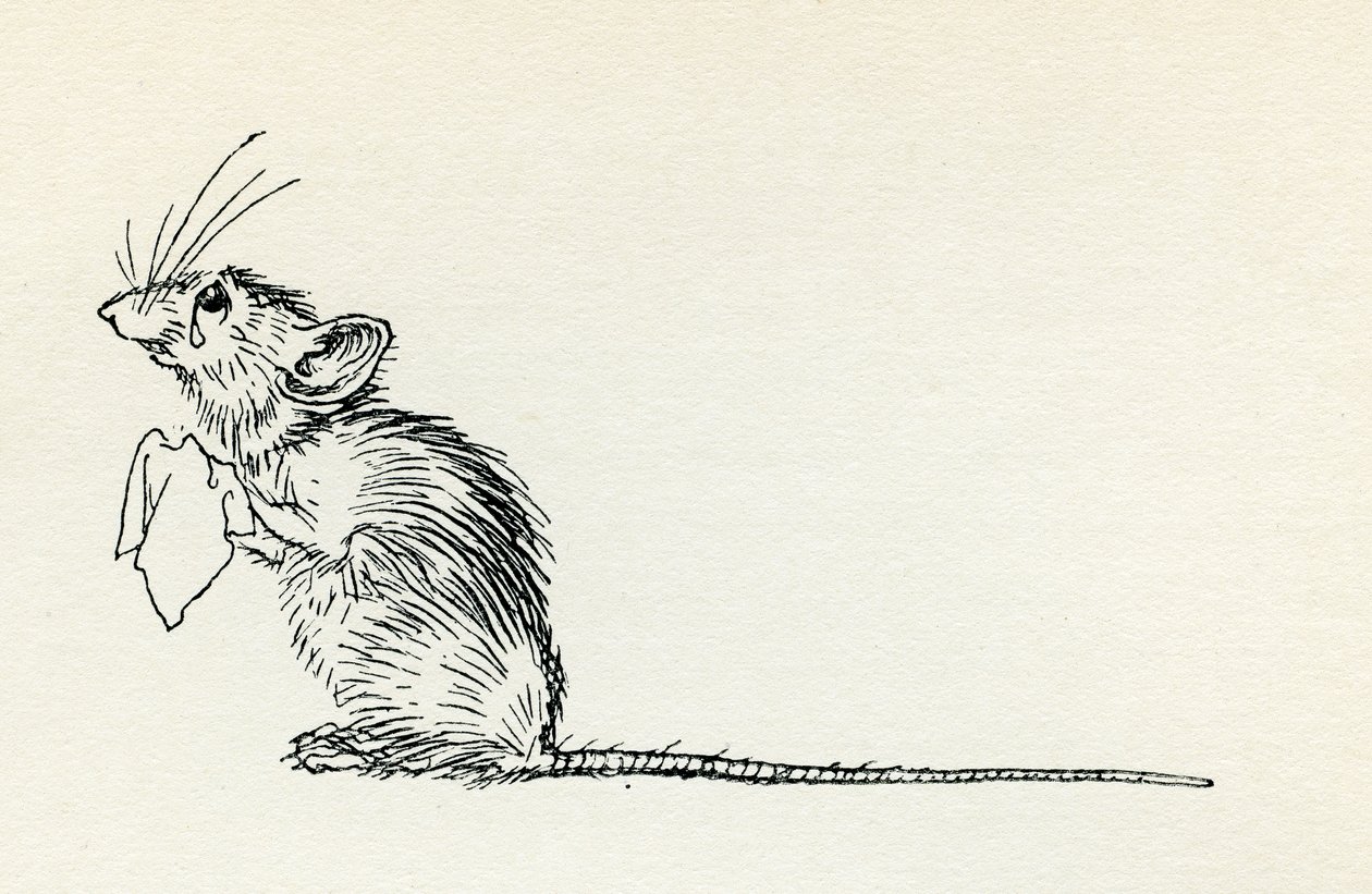 Titty Mouse ve Tatty Mouse by Arthur Rackham
