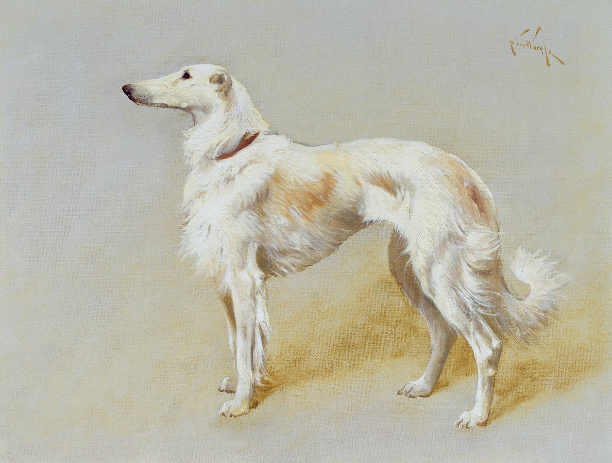 Bir Borzoi köpeği (tuval üzerine yağlı boya) by Arthur Wardle