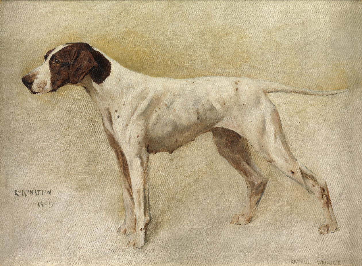 taç giyme töreni by Arthur Wardle