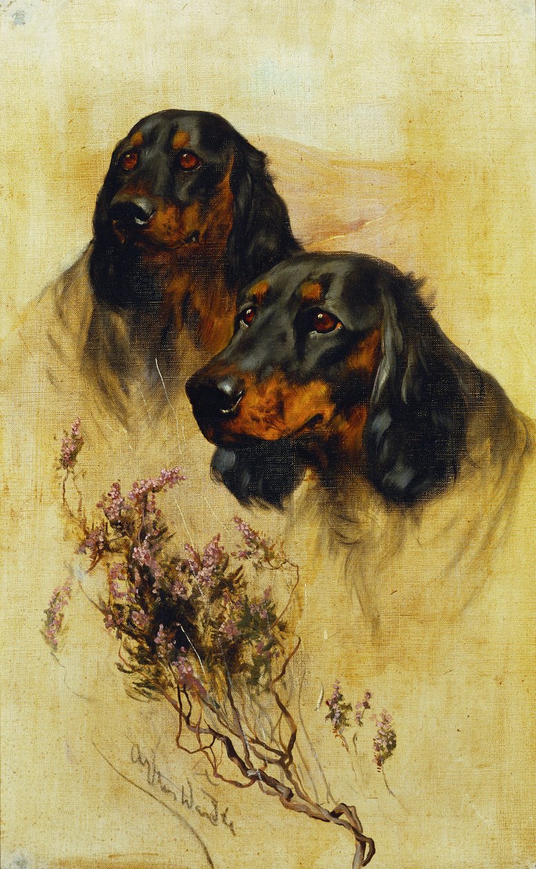 İki Gordon Setter (tuval üzerine yağlı boya) by Arthur Wardle