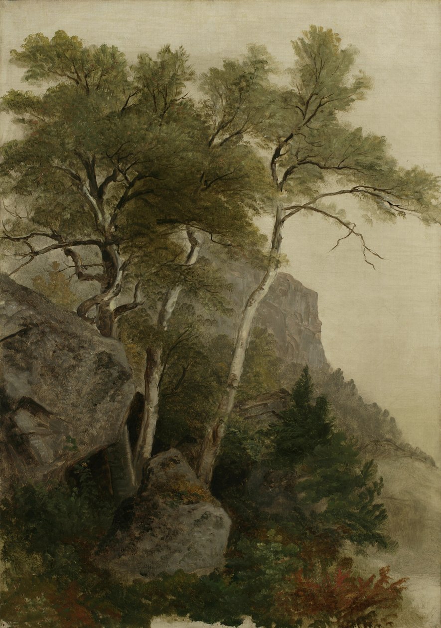 Manzara, 1855 by Asher Brown Durand
