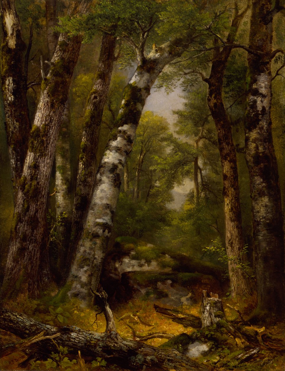 Woodland Glen, ca. 1850-1855. by Asher Brown Durand