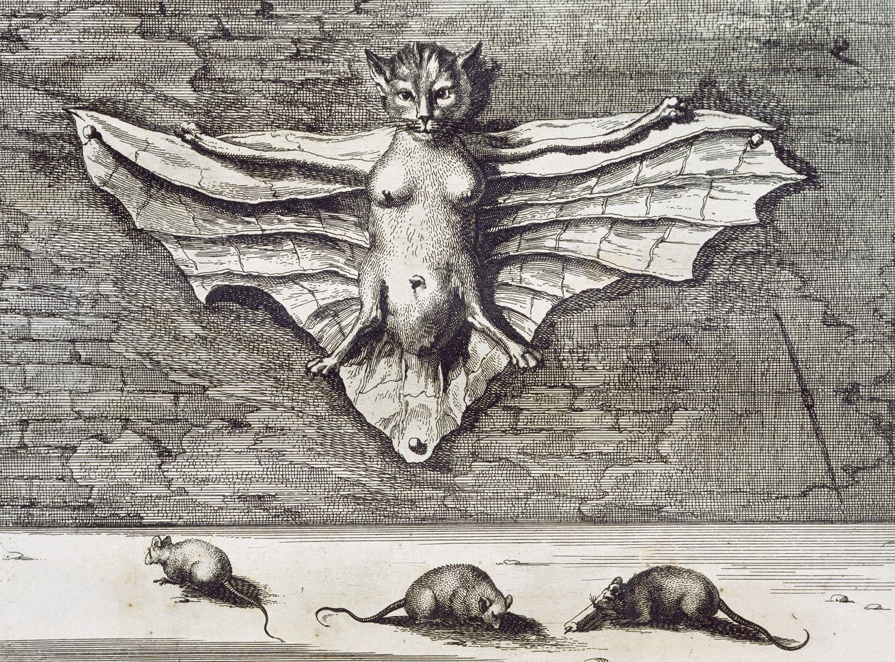Uçan Kedi, 1667 by Athanasius Kircher