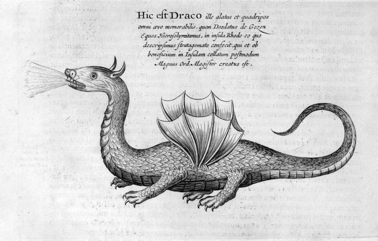 ejderha, 1678 by Athanasius Kircher