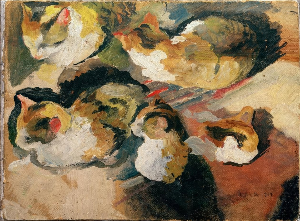 kedi çalışmaları by August Macke