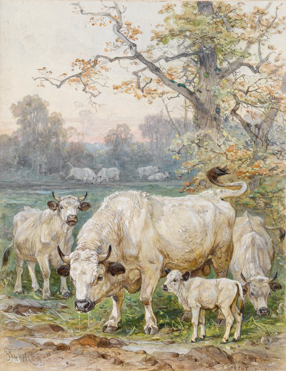 Park Sığırı (kağıt üzerinde wc) by August Specht