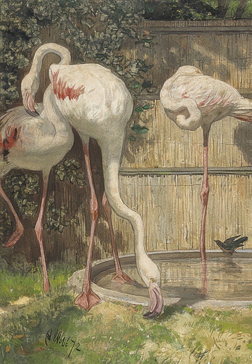Bir su havuzunda üç flamingo. 1872 by August Allebe