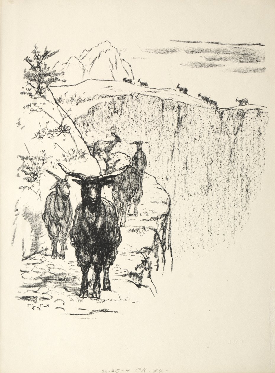 keçiler by August Gaul