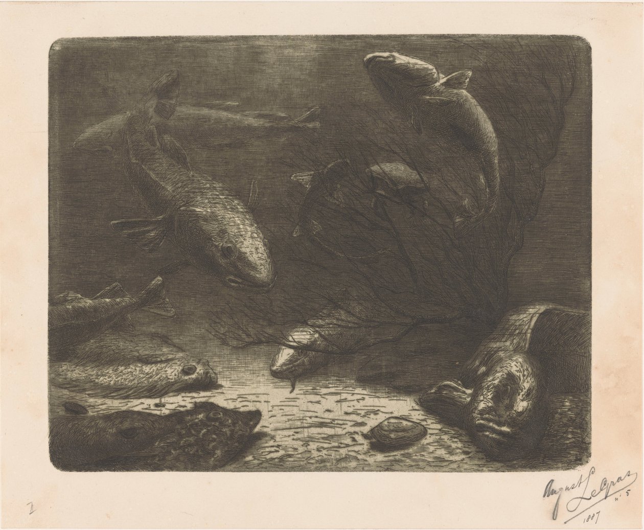Akvaryum by August Le Gras (signed by artist)