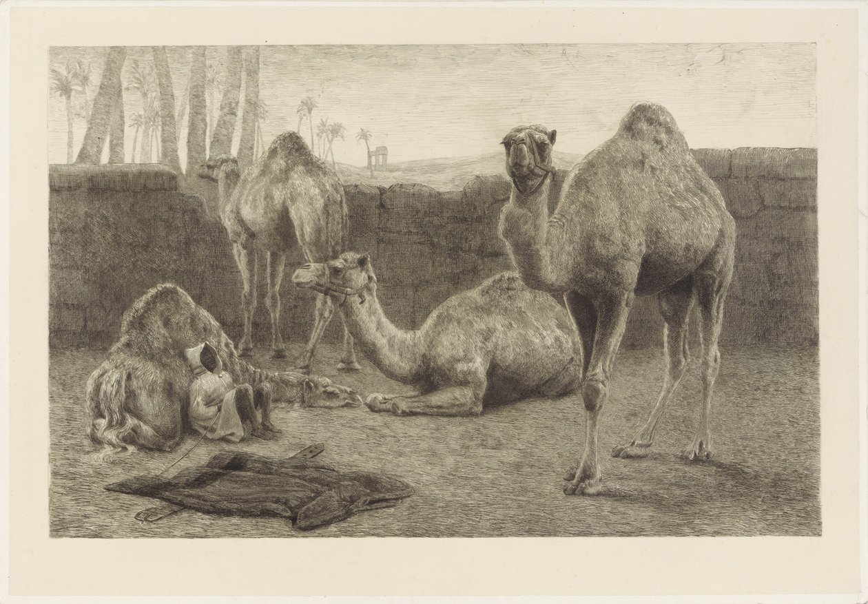 develer by August Le Gras