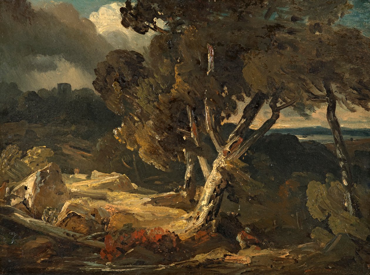fırtına manzarası by August Seidel