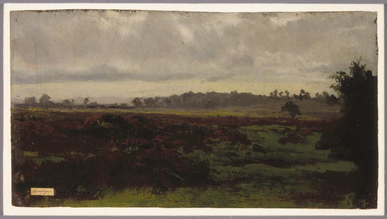 Marshlands, 1850
