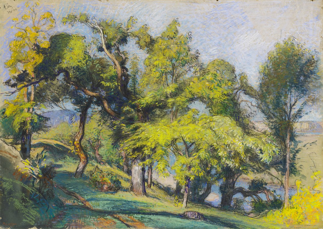 Bir Nehrin Üzerinde Kestane Ağaçları by Auguste Lepere
