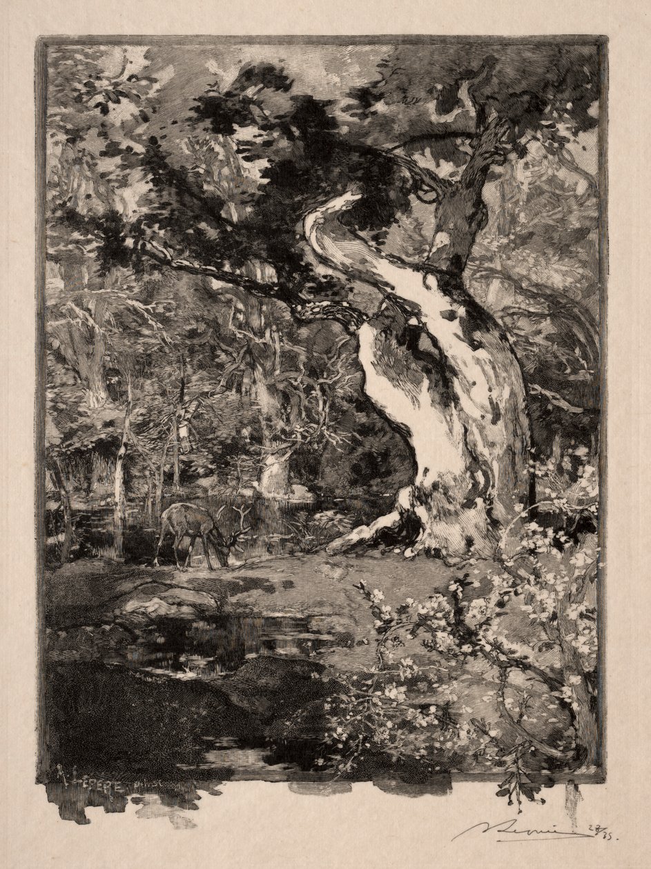Le Clovis, Plateau de Bellecroix by Auguste Louis Lepère