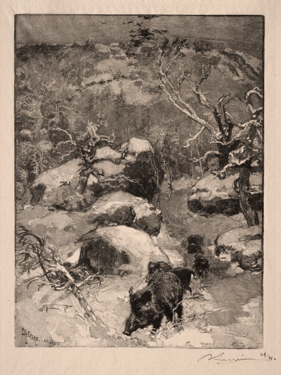 Roche Cuvier Chatillon, 1887. by Auguste Louis Lepère