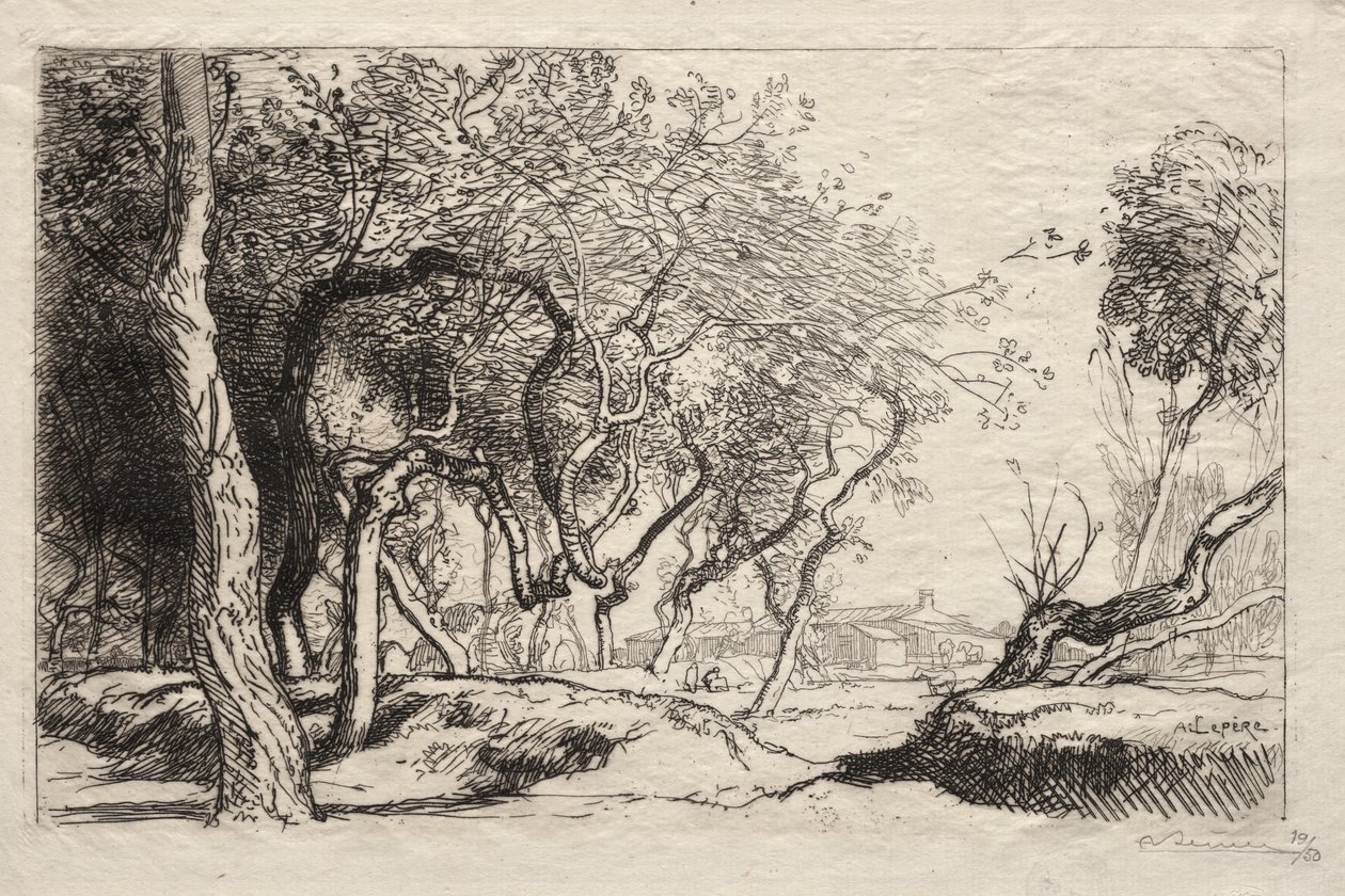 Bükülmüş Ağaç by Auguste Louis Lepère