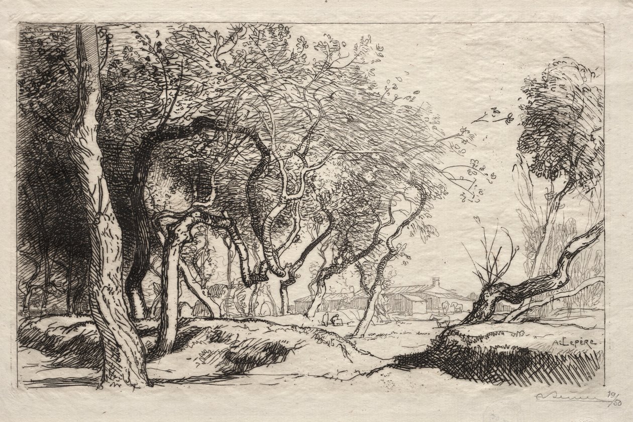 Bükülmüş Ağaç, 1915. by Auguste Louis Lepère