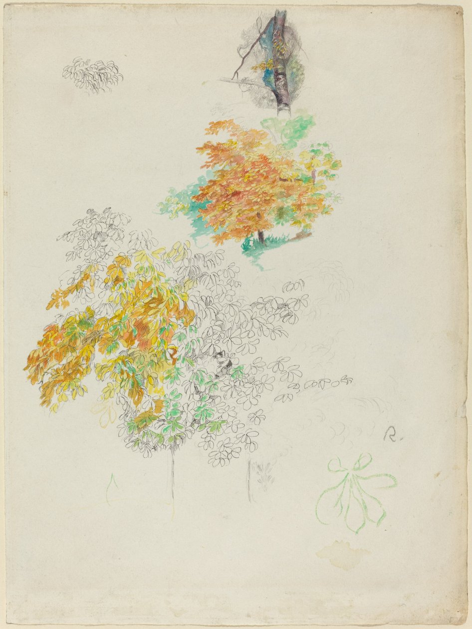 Ağaç Çalışmaları by Auguste Renoir