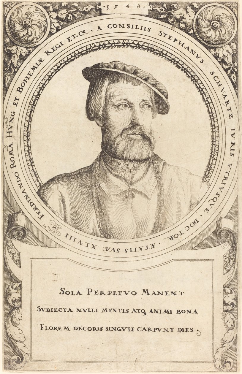 Doktor Stephen Schwartz by Augustin Hirschvogel