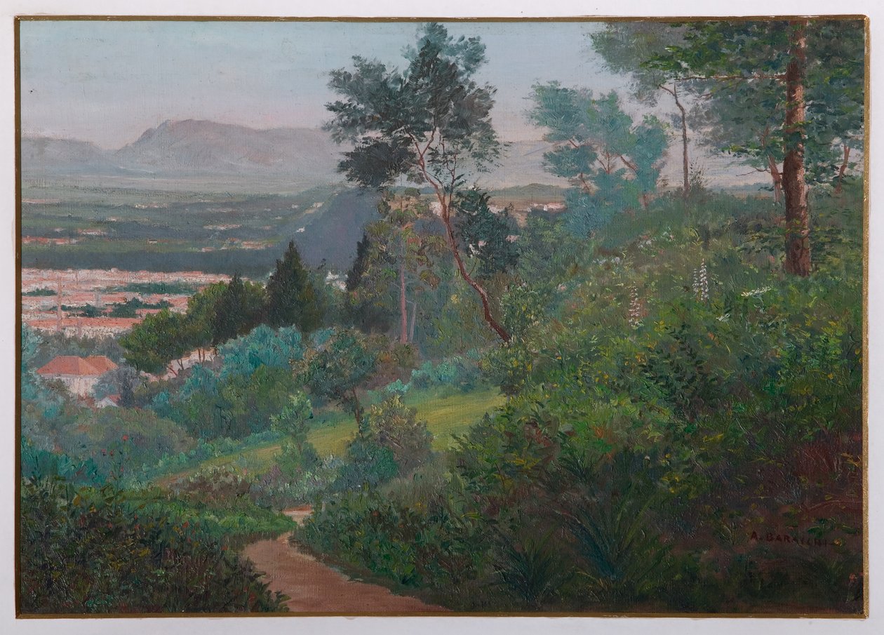 Vignola