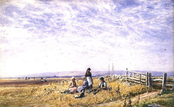 Öğle yemeğinde biçerdöverler by Augustus Watford Weedon