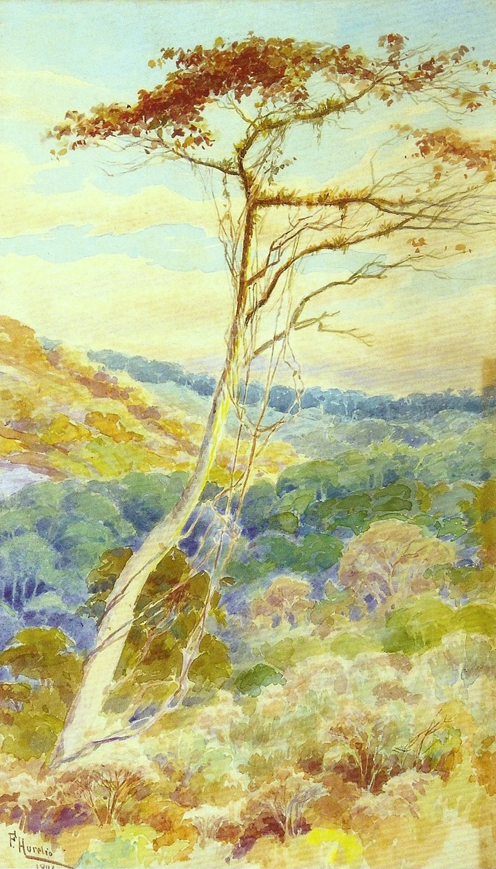 Manzara by Aurelio de Figueiredo