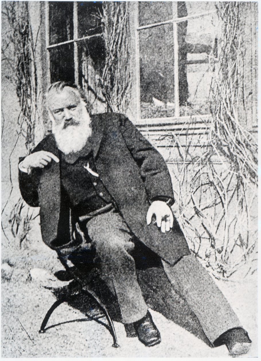 Johannes Brahms, c.1897 by Austrian Photographer