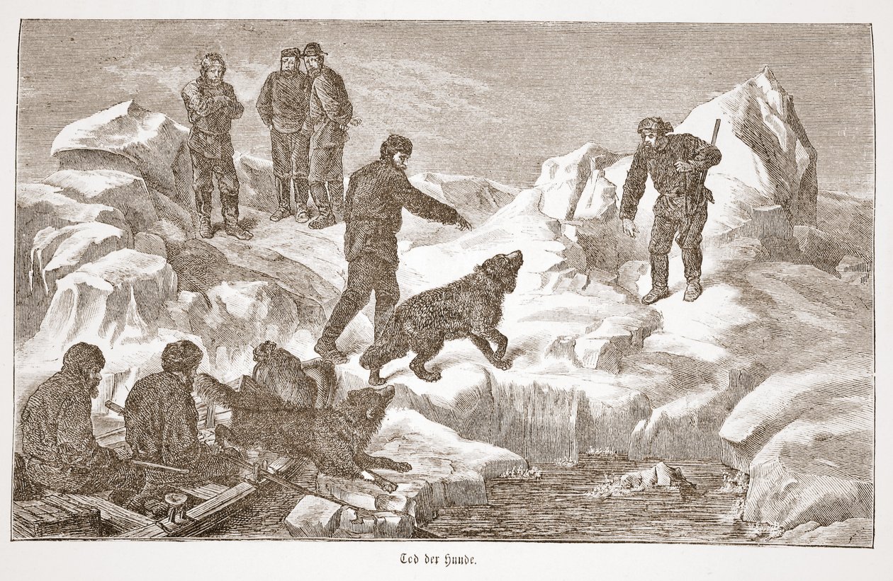 Köpeklerle avlanma, 1876 by Austrian School