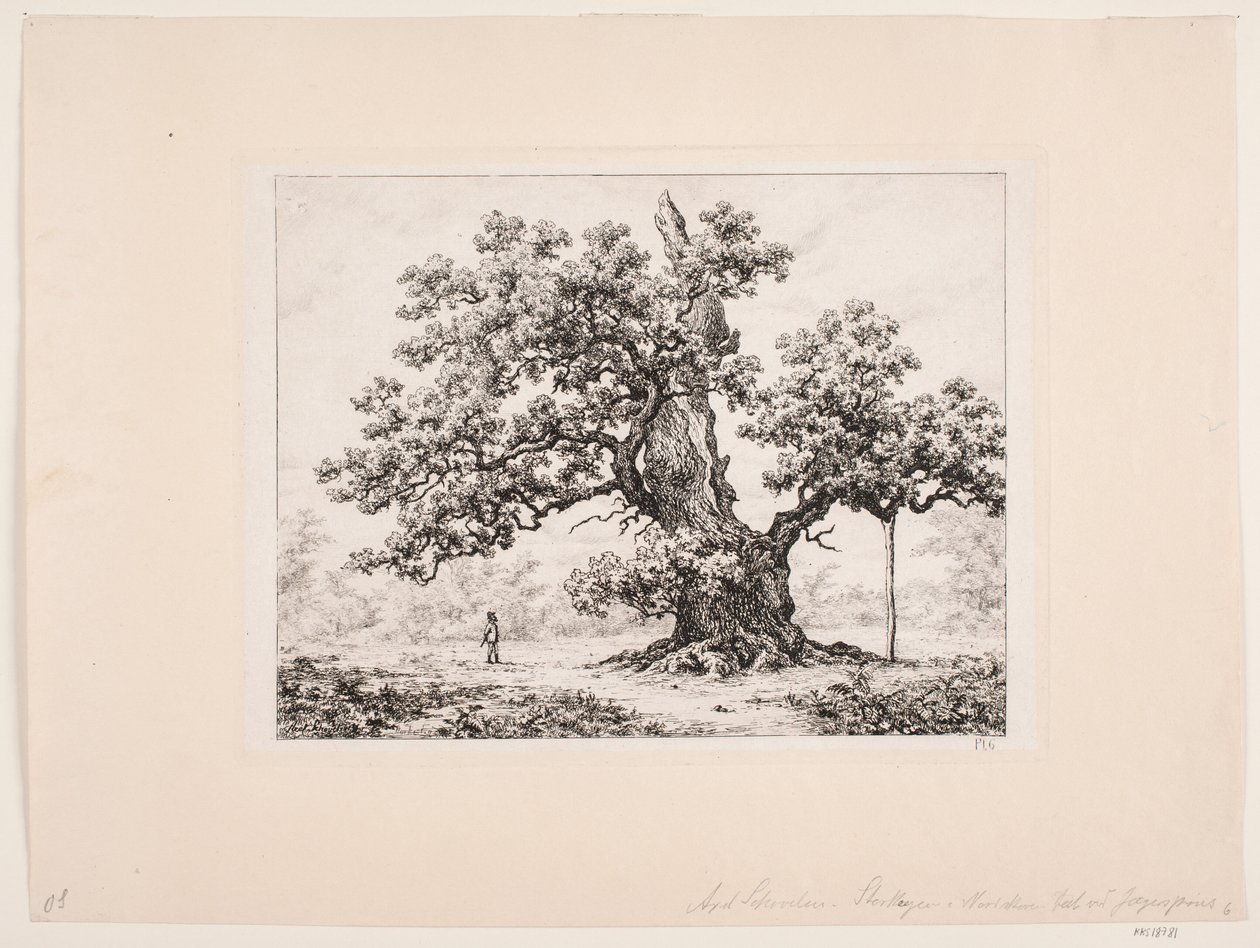 Storkeegen. Jægerspris by Axel Schovelin