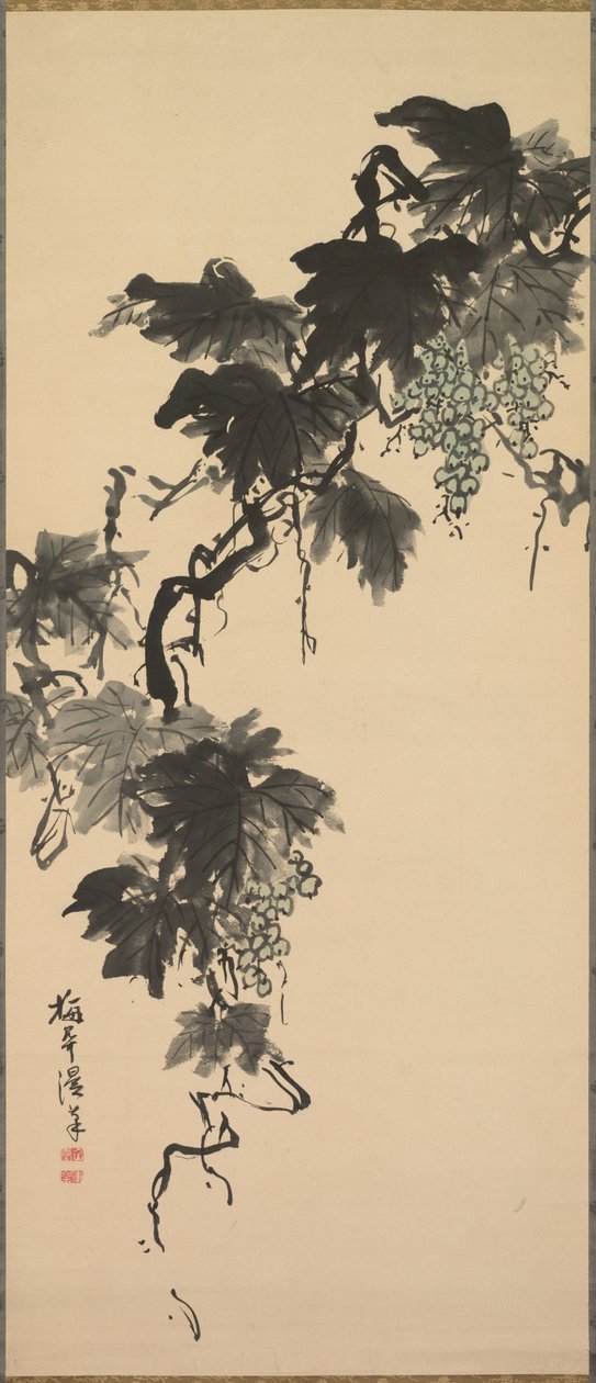 Üzüm, 1800