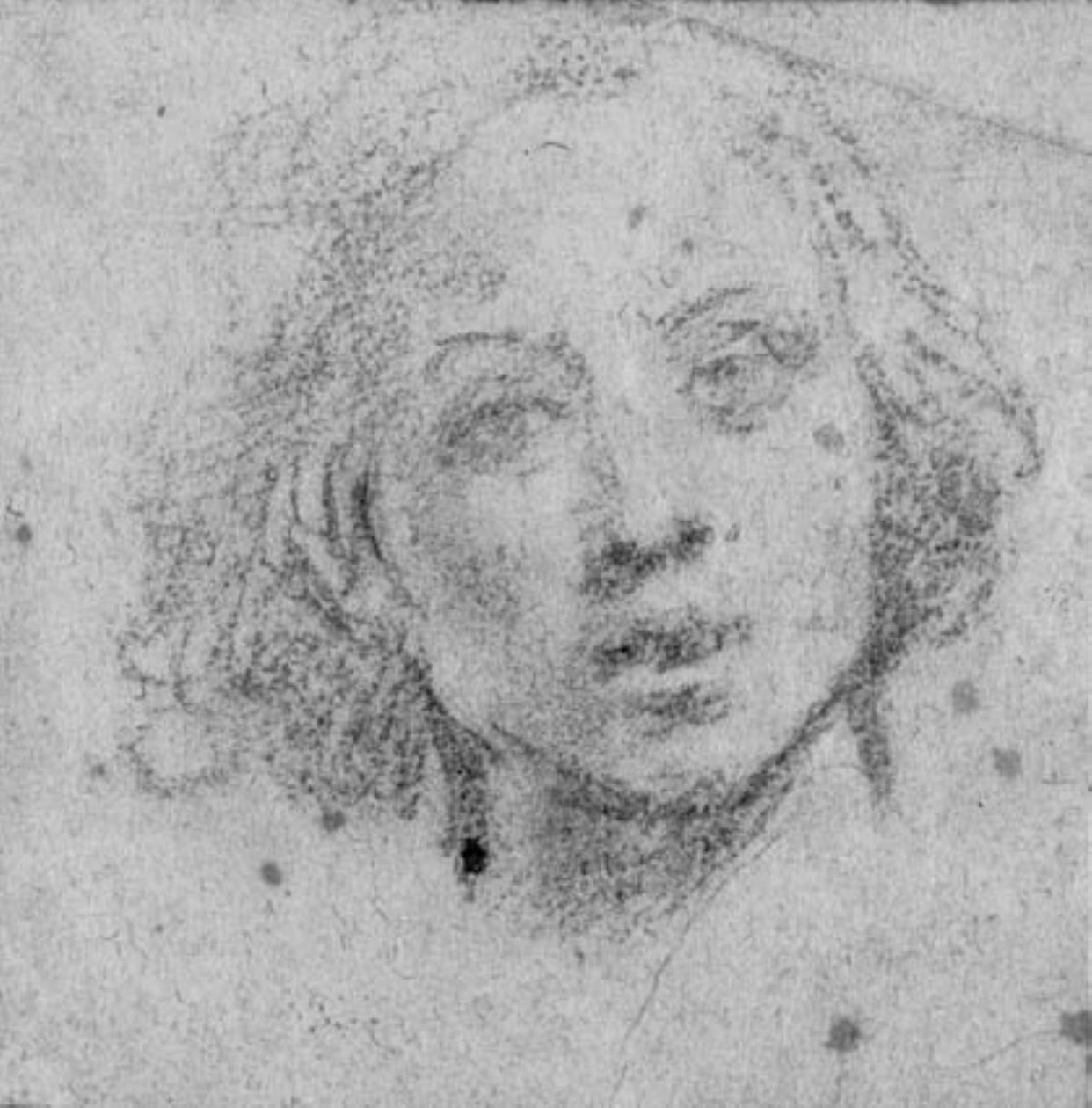  by Baldassare Franceschini