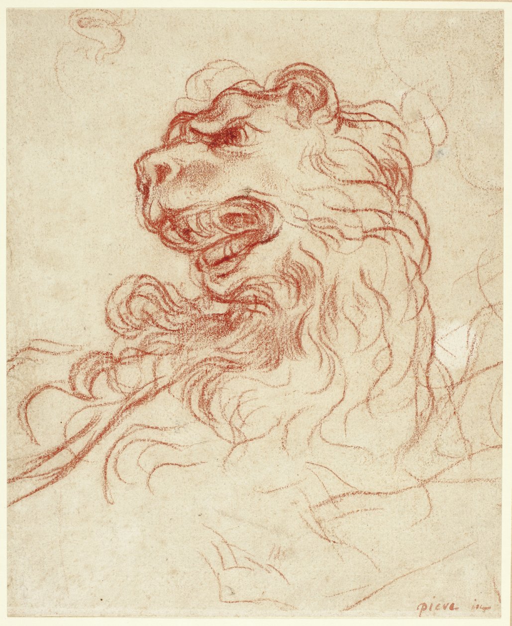 Aslan Başı Çalışması by Baldassare Franceschini
