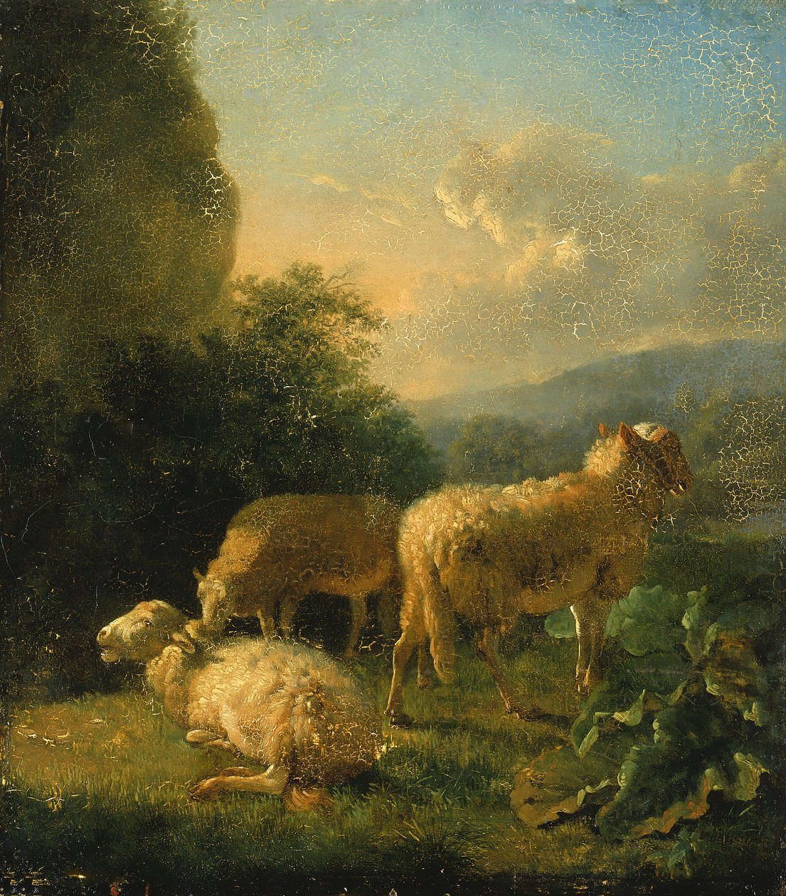Koyun, 18. yüzyılın sonu ve 19. yüzyılın başı. by Balthasar Paul Ommeganck