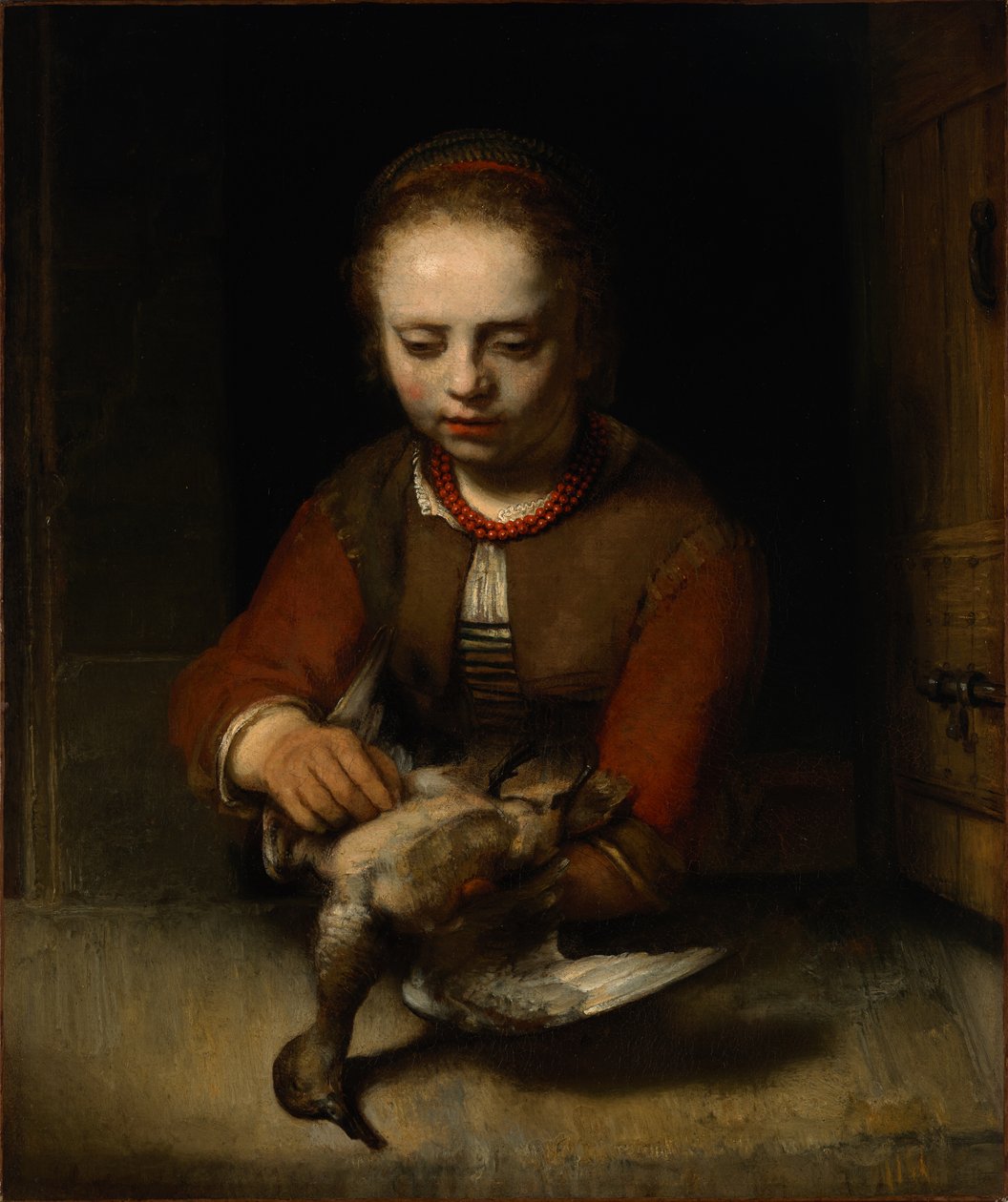 Ördek Yolma Genç Kız by Barent Fabritius