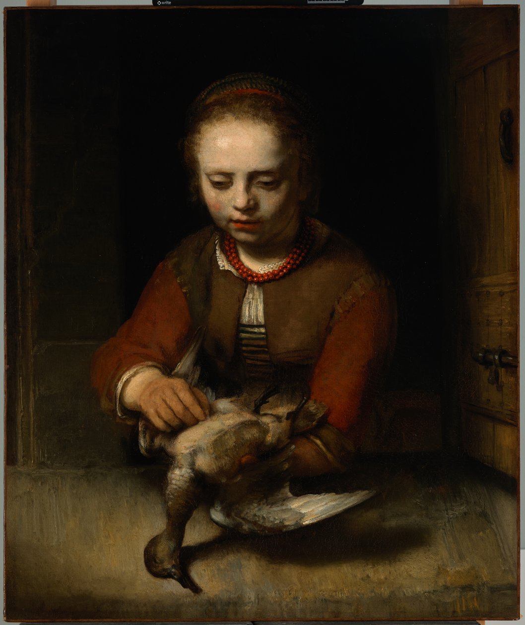Ördek Yolma Genç Kız by Barent Fabritius