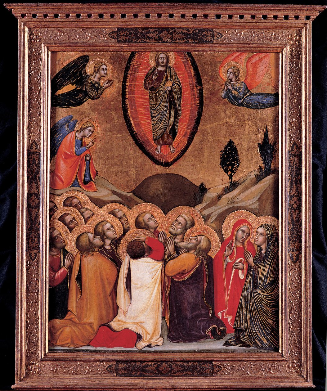 Yükseliş by Barnaba da Modena