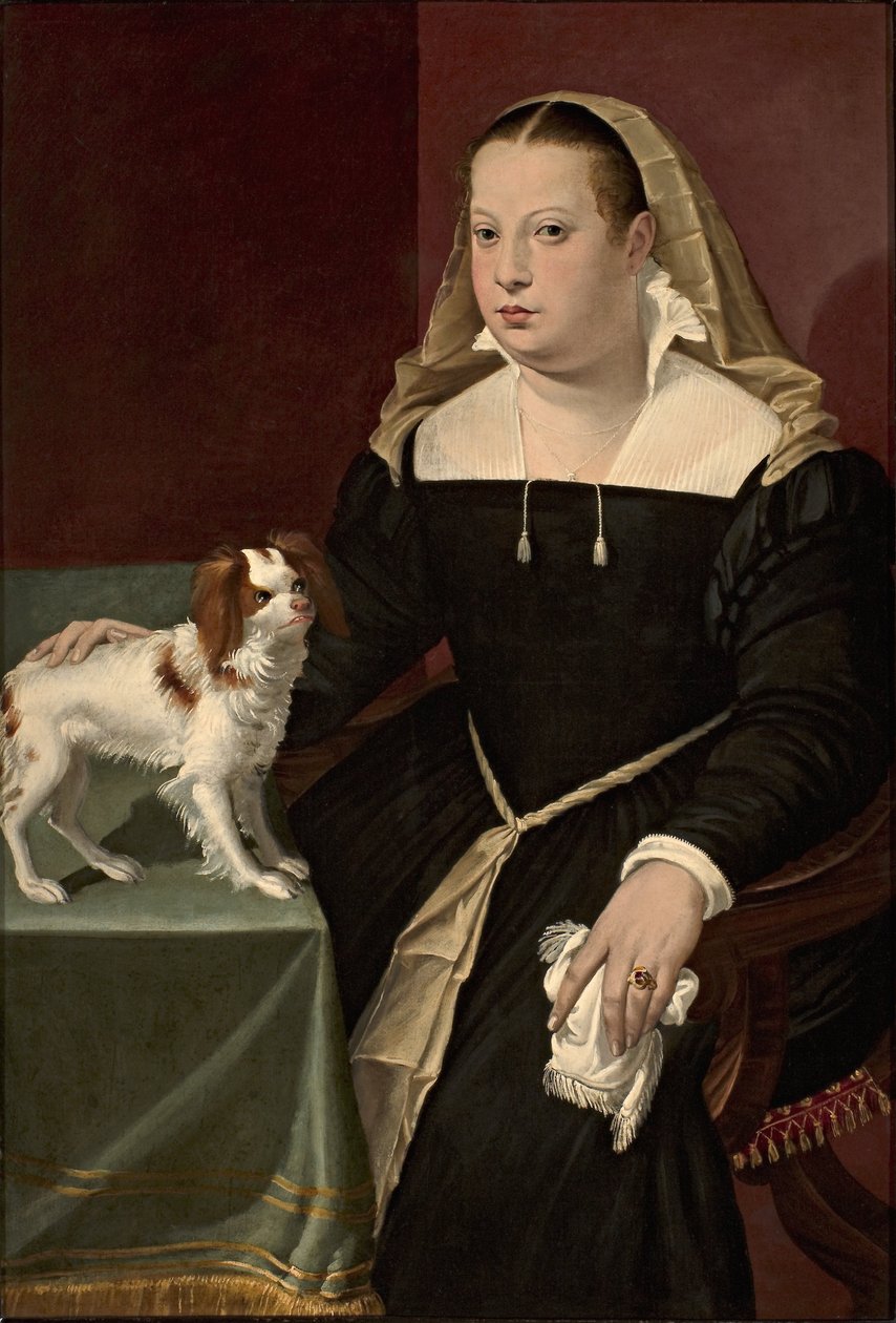 Küçük bir köpeği olan bir bayanın portresi by Bartolomeo Passarotti