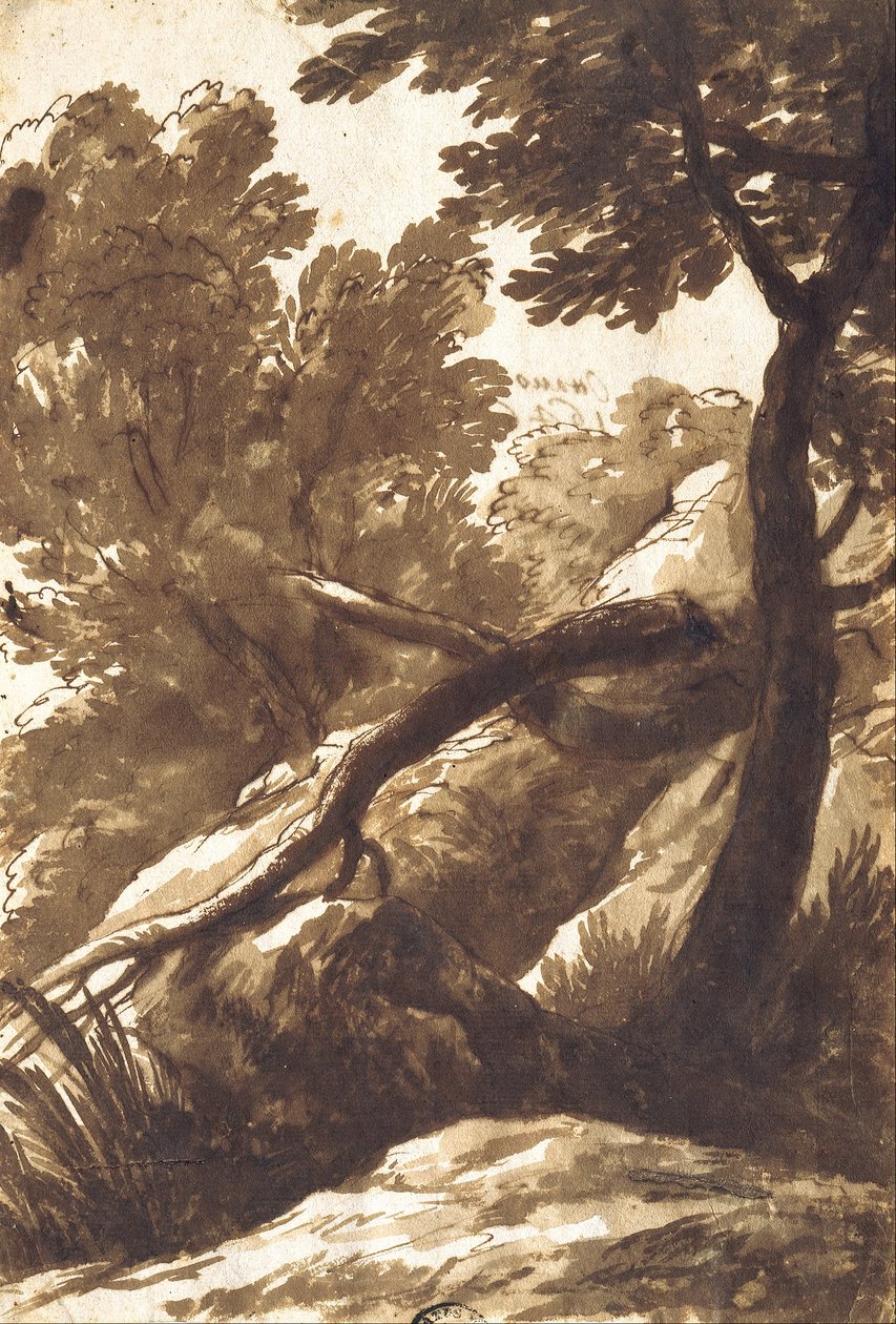 Ormanlık Peyzaj by Bartolomeo Torregiani