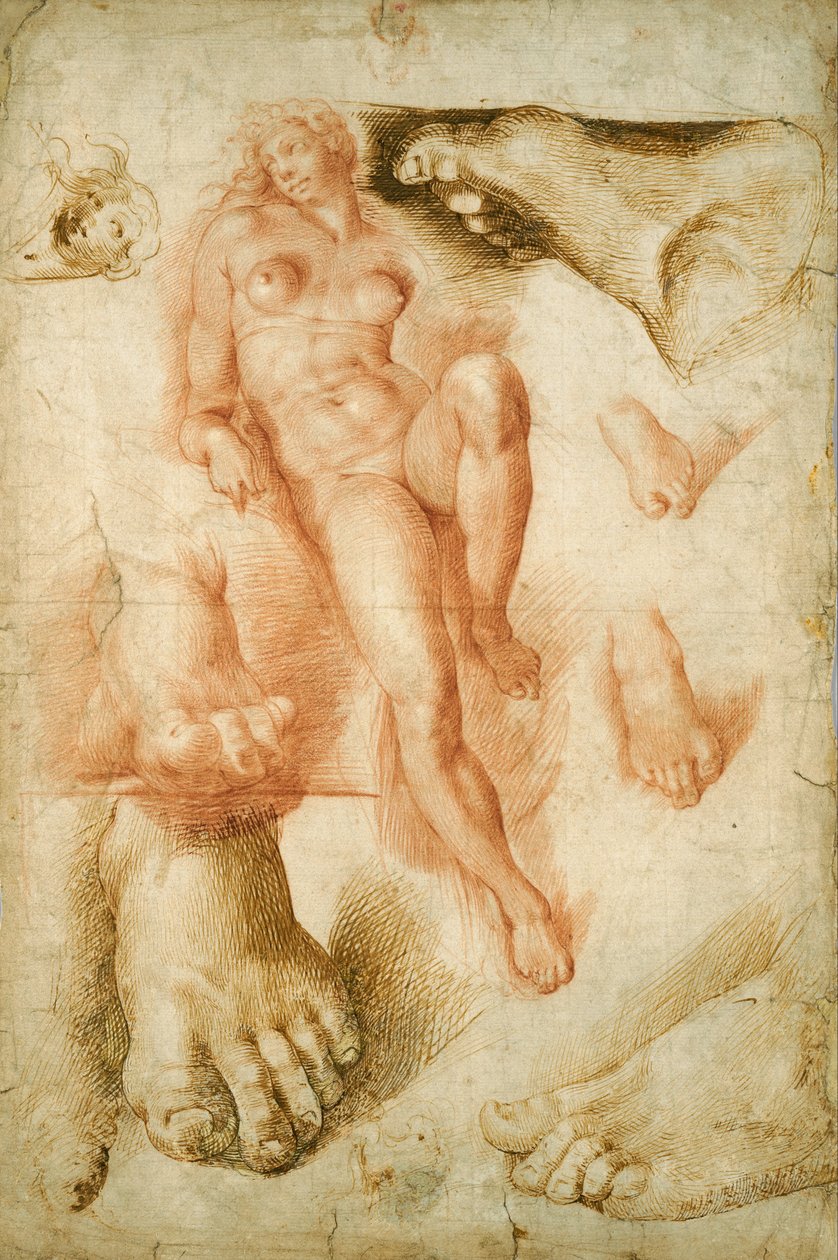 Michelangelo
