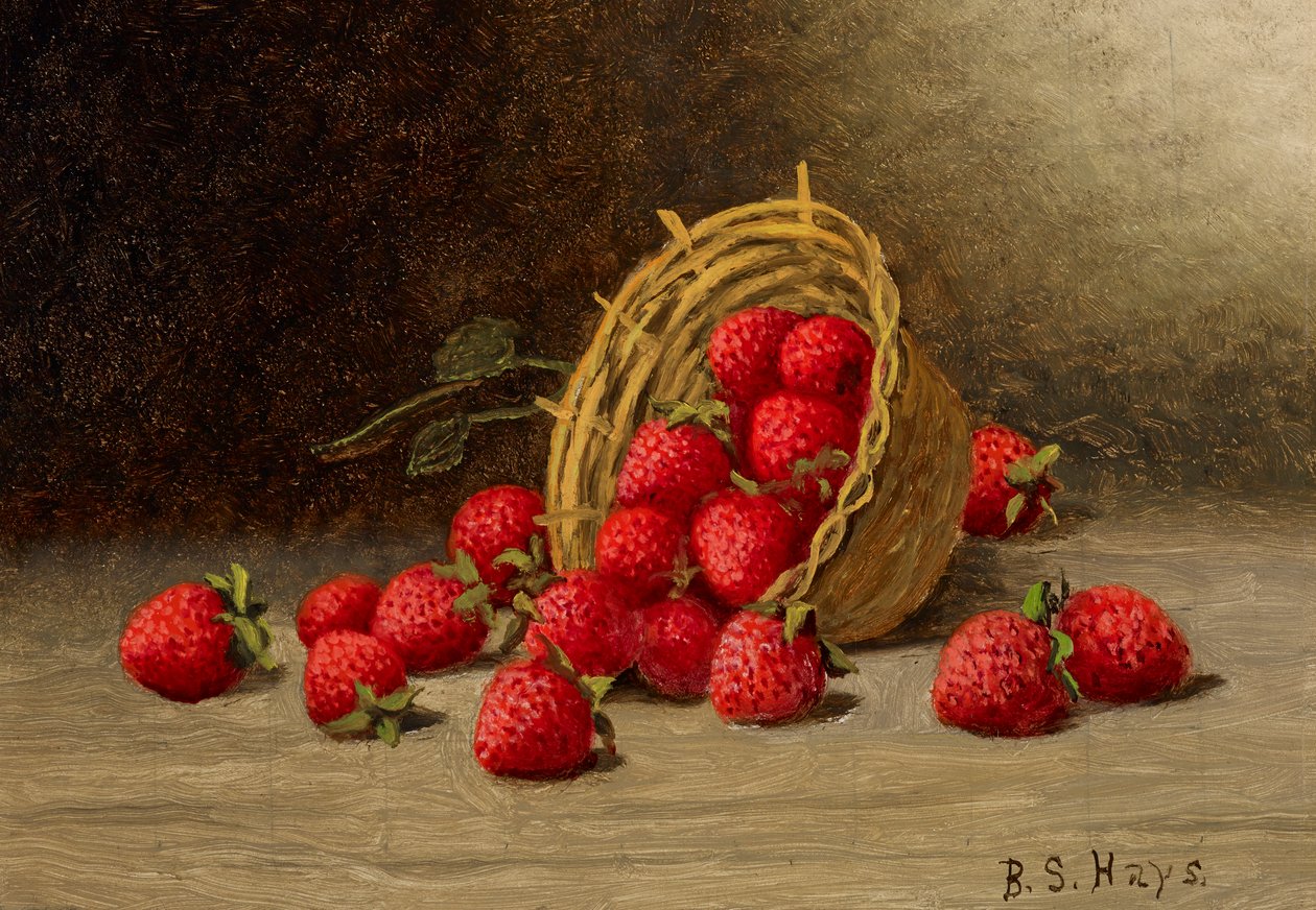  by Barton S. Hays