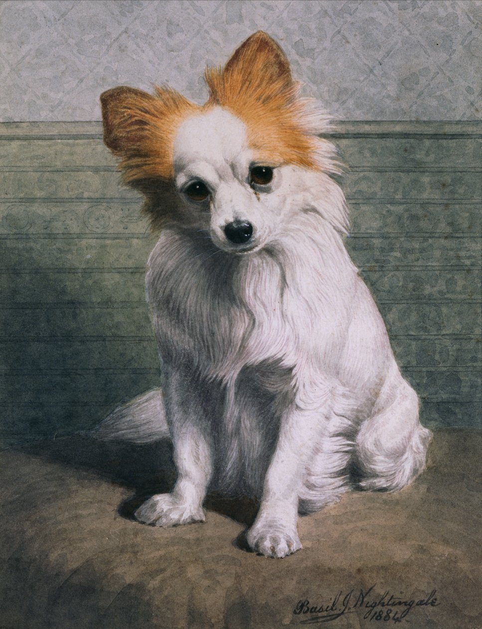 Oyuncak köpek by Basil J. Nightingale